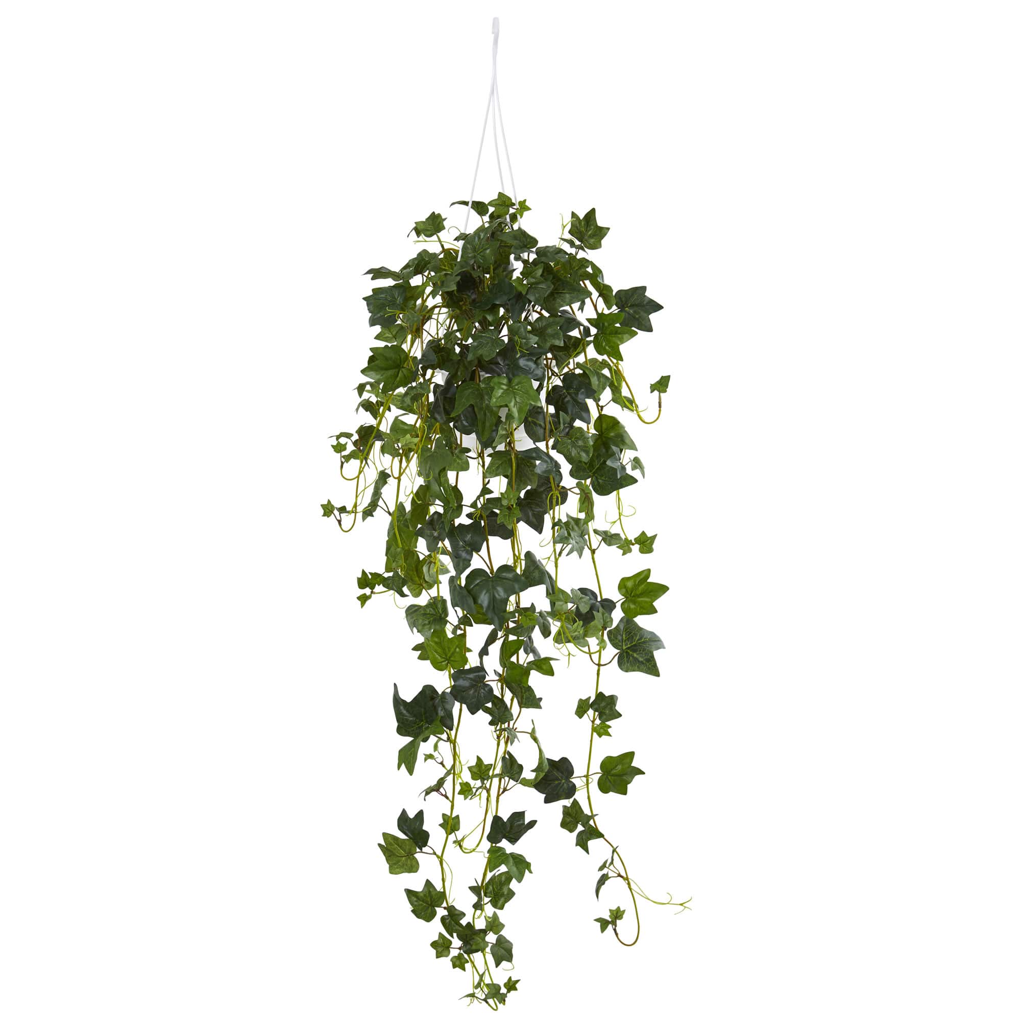 3ft. Green English Ivy Hanging Basket